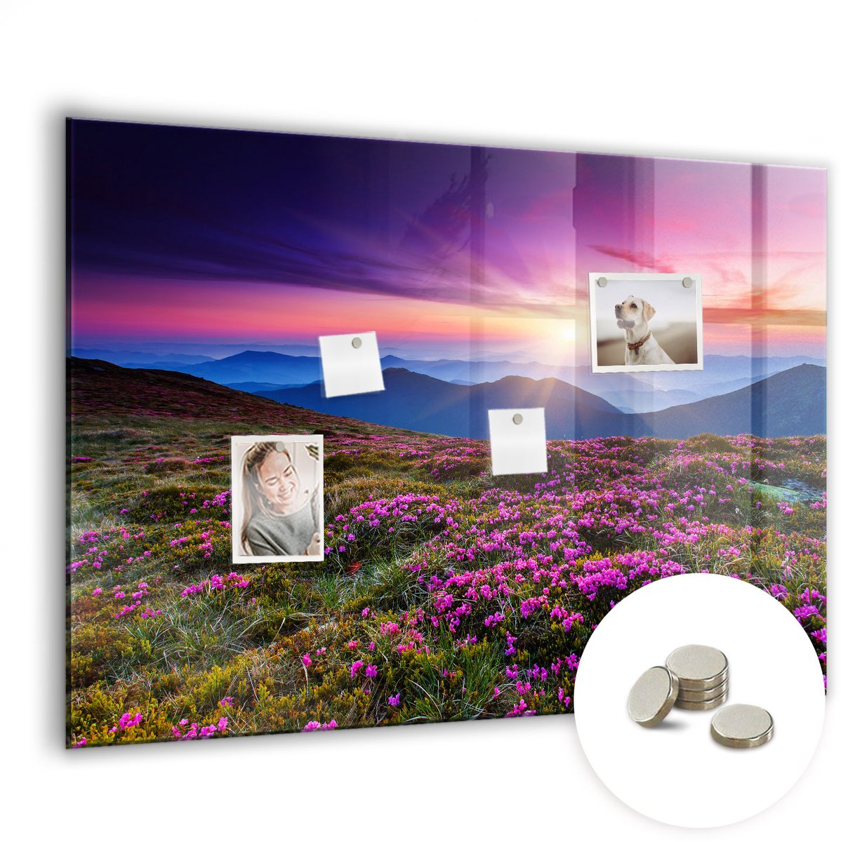 Coloray Glazen Magneetbord - Magnetisch Bord Bamboe stokken - 100x70 cm - Veelkleurig Magneetbord - Magnetic Board - Woonkamer Decoratie