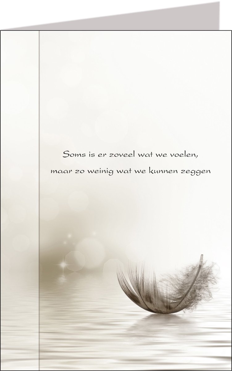 Butterflies | 11x17 | 6 stuks | Vak 108