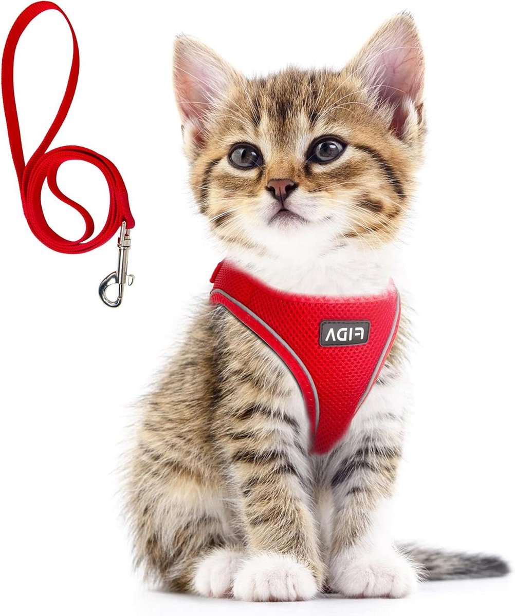 Hondentuig met riem - Hondenvest Puppyvest - Veilig wandelen - Step-in design - XXXS - Rood