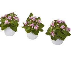 Kunstplant Kalanchoe - Zijdeplanten Set - Interieur Decoratie - Realistisch Ontwerp - 8 Inch Hoogte - Mauve