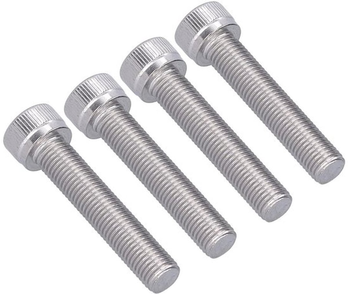 M10 1.25mm Fijne Draad Hex Bouten Set van 4 Stuks RVS A2-70 voor Bouwprojecten en Reparaties