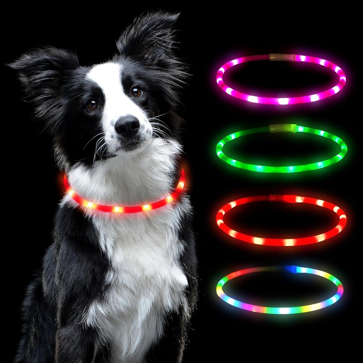 Hondhalsband met LED verlichting - USB oplaadbaar - Waterbestendig - Veiligheid in het donker - SnelShoppen