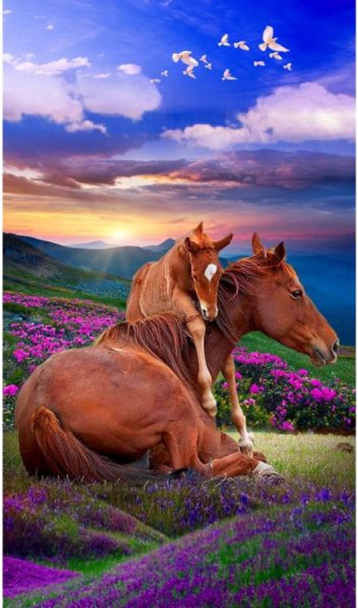 Diamond Painting Kit: Twee Paarden - Berglandschap 30x40cm