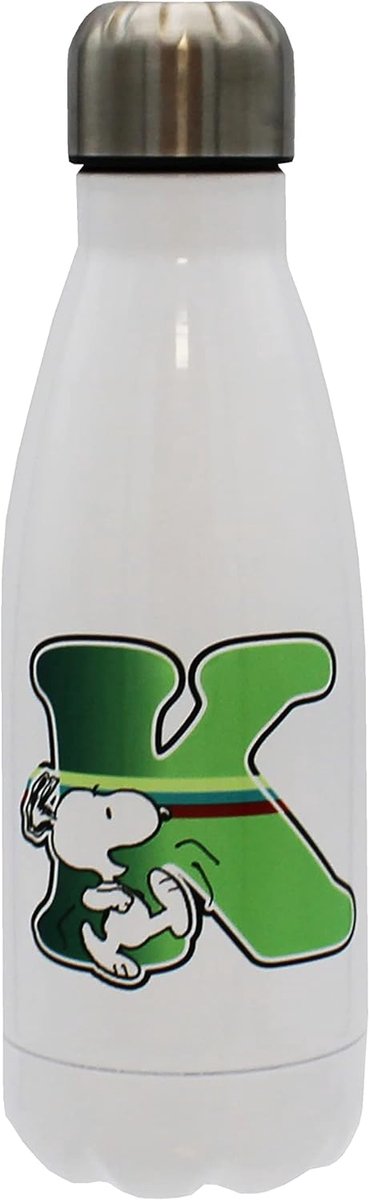 Drinkfles 550ml - roestvrij staal - hermetische sluiting - ideaal voor onderweg - SnelShoppen