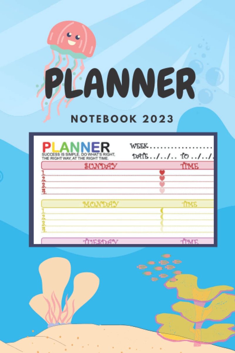Planner voor kinderen - kleurrijk ontwerp - stimuleert systematisch denken - herinnert aan belangrijke momenten - ShopVlot