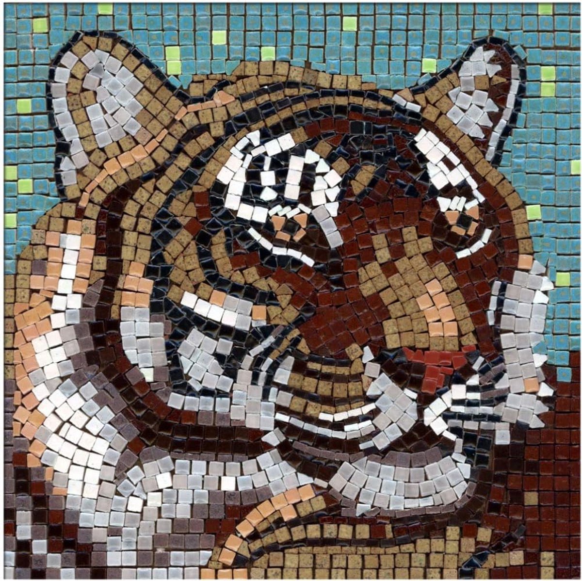 Mosaic set 20x20 cm - mini-keramische tegels - houten basis met patroon - eenvoudig en magisch gebruik - ShopVlot