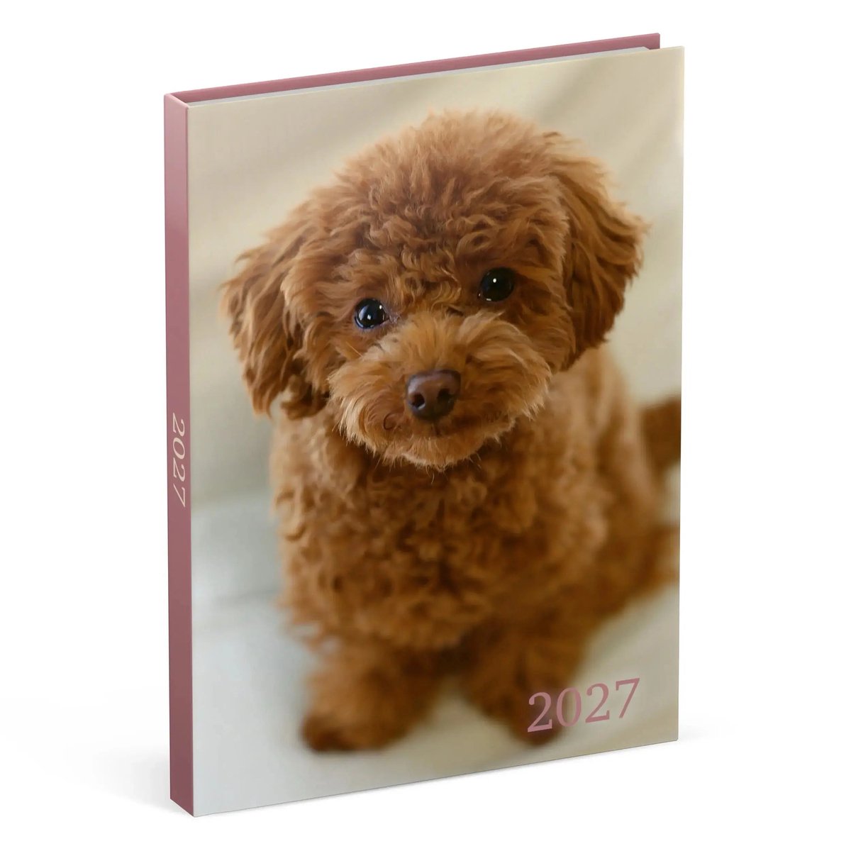 Honden Desk Agenda 2027 Poedel