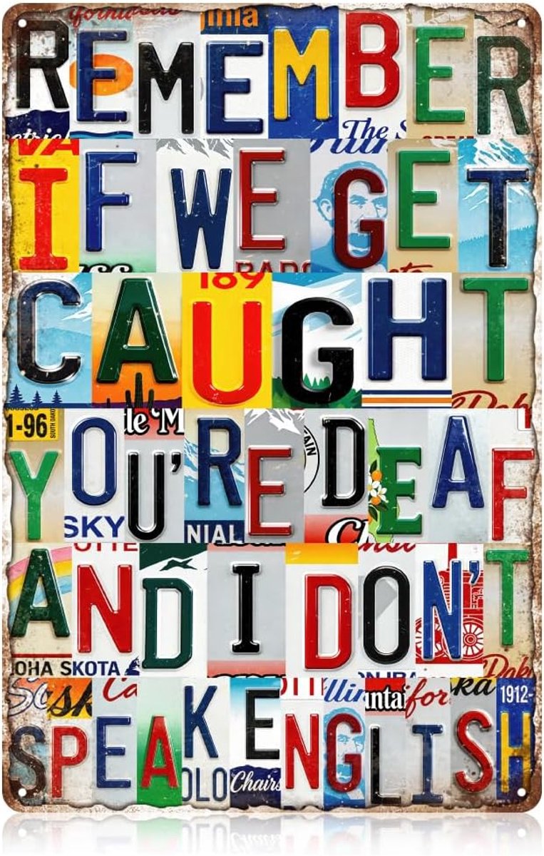 Metalen tinnen bord met grappige tekst, 30 x 20 cm retro kentekenplaatkunst teken - Remember If We Get Caught You're Deaf And I Don't Speak Engels decor geschenken plaquette voor bar winkel man