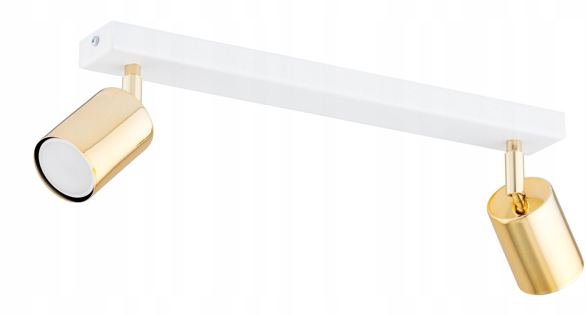 Moderne Plafondlamp Spot Wit Metaal GU10 2-lichts