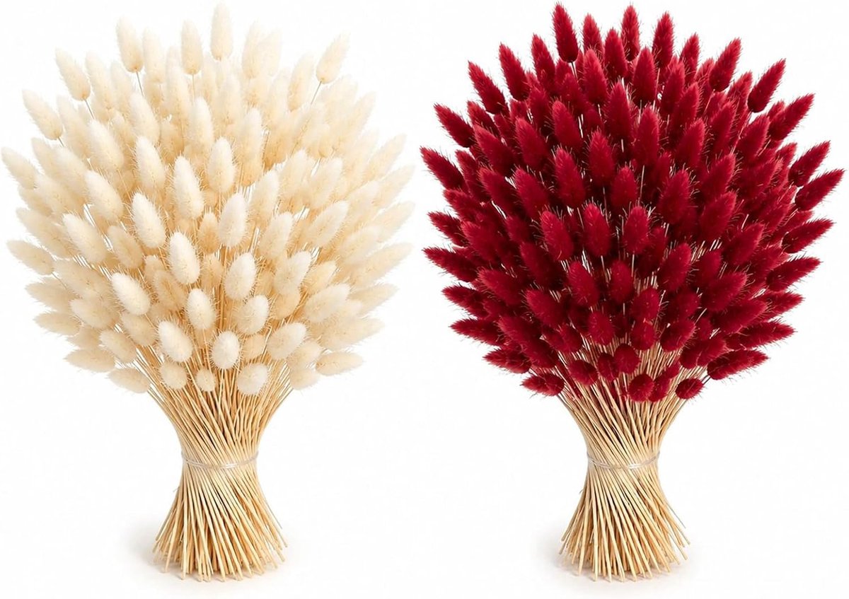 gedroogde hazenstaartgrasbloemen 120 stuks - wit en rood - 35-40 cm - perfect voor vazen en kransen - ShopVlot