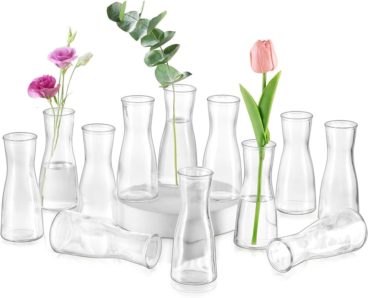 SnelShoppen - Set van 12 Transparante Kleine Glazen Vazen voor Tafeldecoratie, Minimalistische Bloemenvazen, Moderne Bloemenvaas voor Bruiloft, Feest,