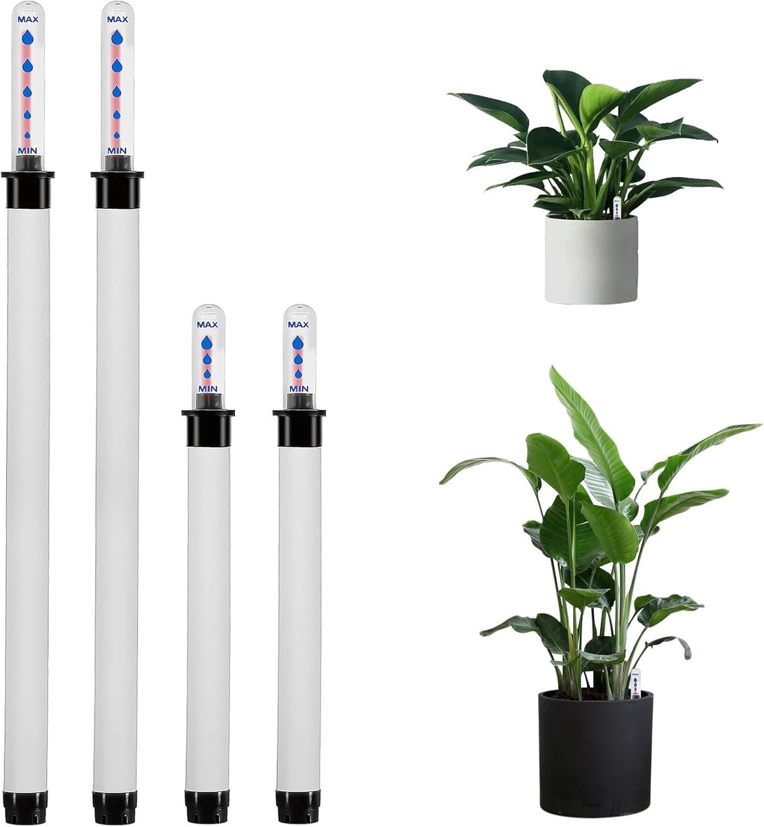 Waterniveau Indicator voor Planten - 4 Stuks - Eenvoudig te Gebruiken - Vochtigheidsmeter voor Bodem en Planten - 36 cm en 22.9 cm
