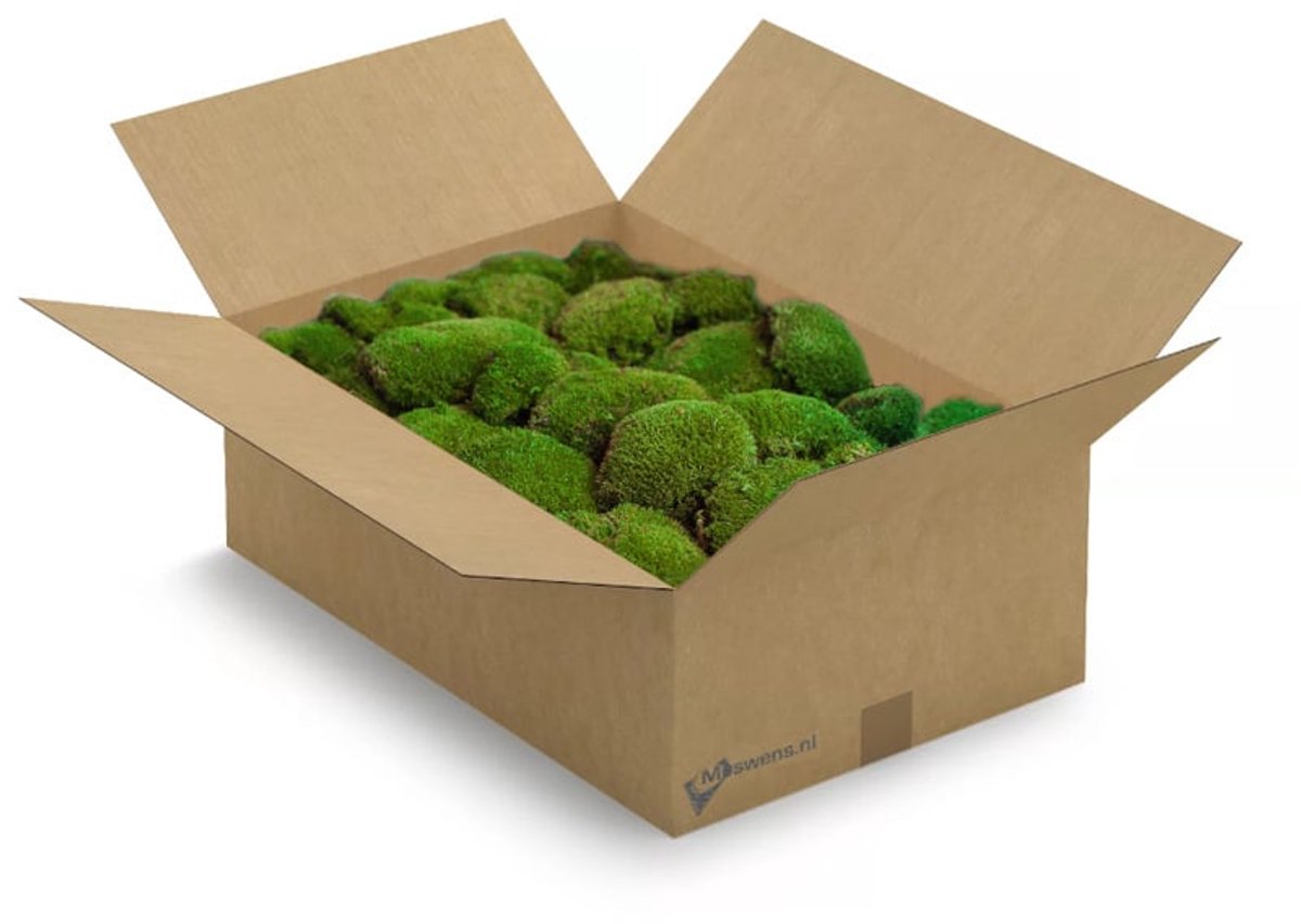 Moswens Bolmos - 1,3 KG - Doos L -icht XL 0,60 m²
