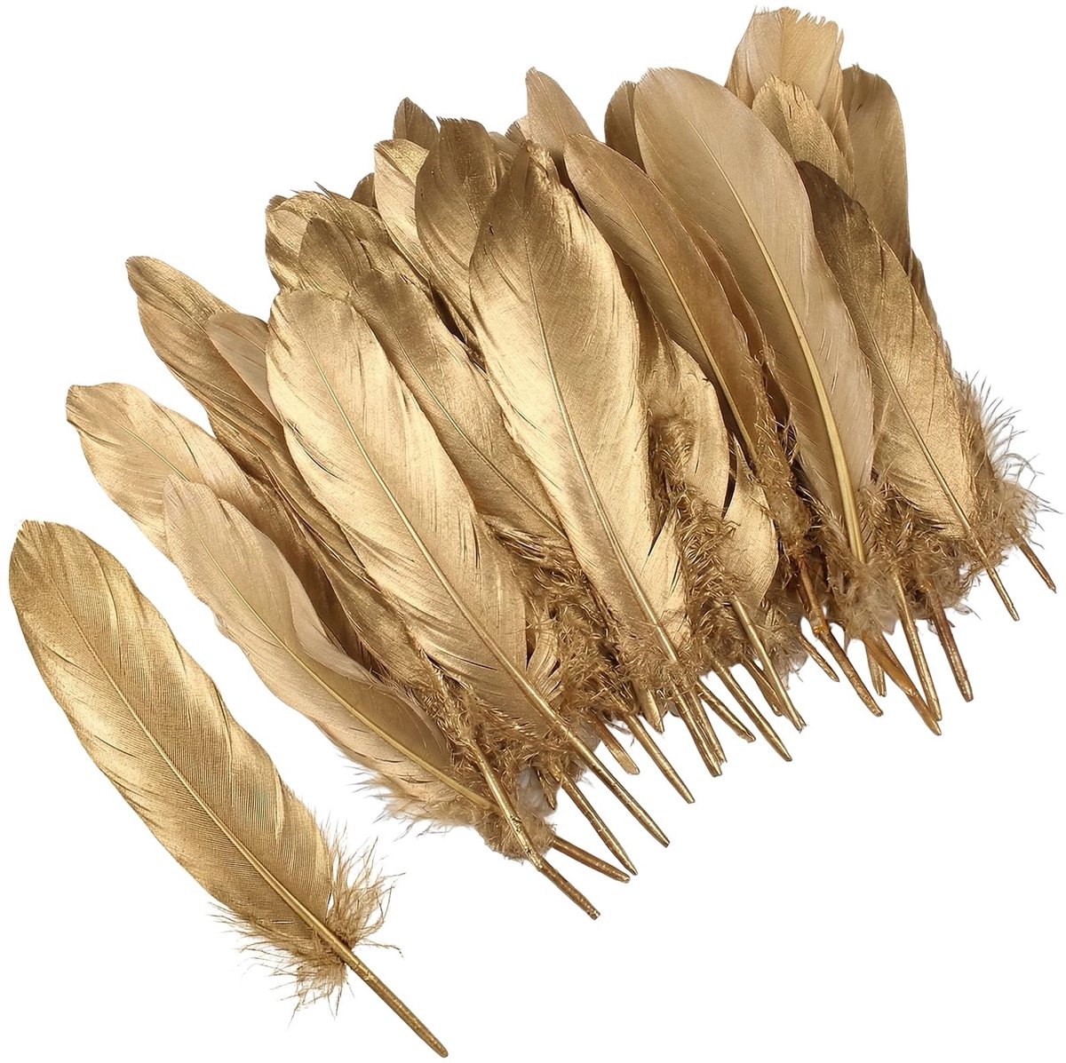 Solidchoice - 50 Stuks Natuurlijke Ganzenveren voor Creatieve Projecten