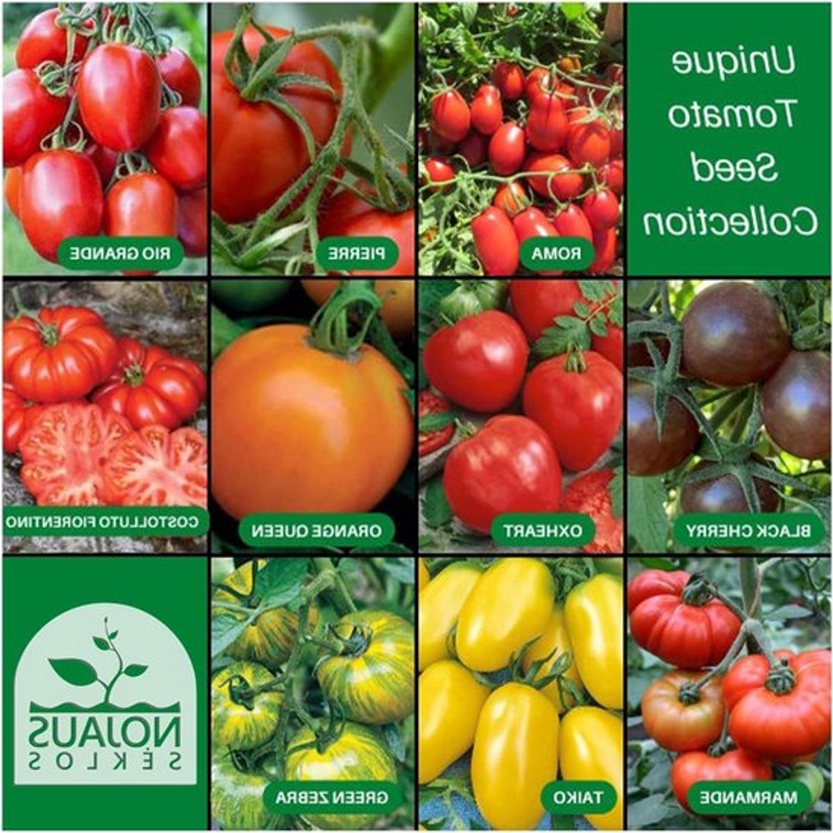 Tomatenzaad Set - 10 Soorten – Verschillende Tomatenzaad Starterkit – 10 Pakjes – Tuinzaad Planten – Groentezaad Box – 10 Soorten – Zaadbox – Zaden