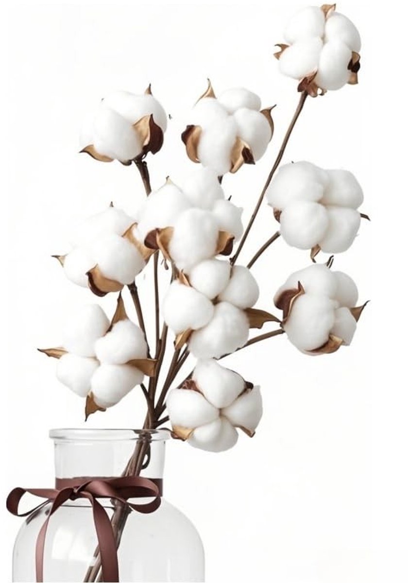 Solidchoice - Set van 10 Natuurlijke Witte Drogen Bloemen voor Decoratie