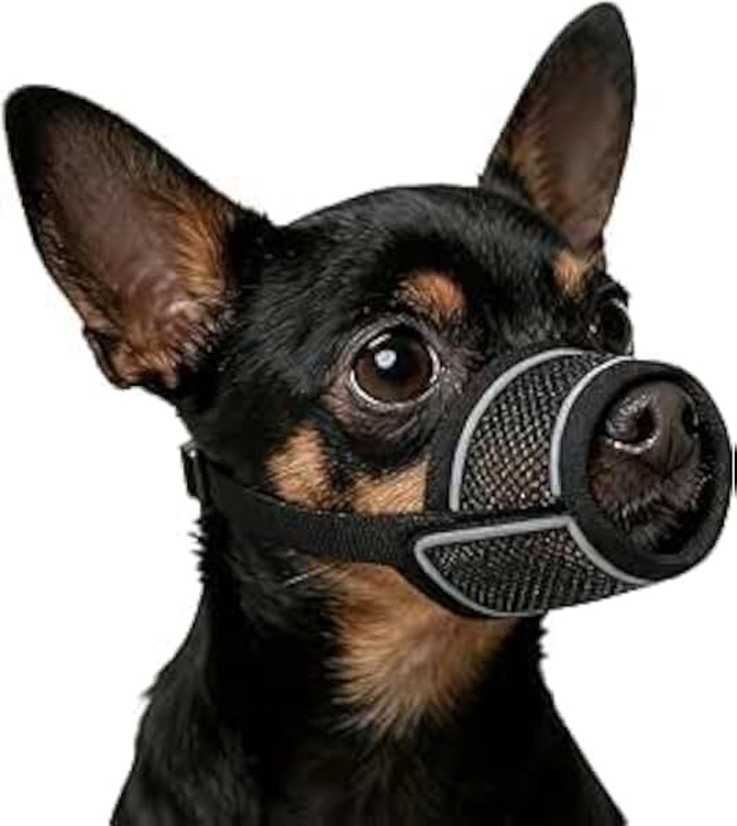Muilkorf voor honden, ademende hondenmuilkorf, nylon, zachte netmuilkorf voor kleine, middelgrote en grote honden, verstelbare muilkorf honden om bijten, blaffen, kauwen te voorkomen (S)