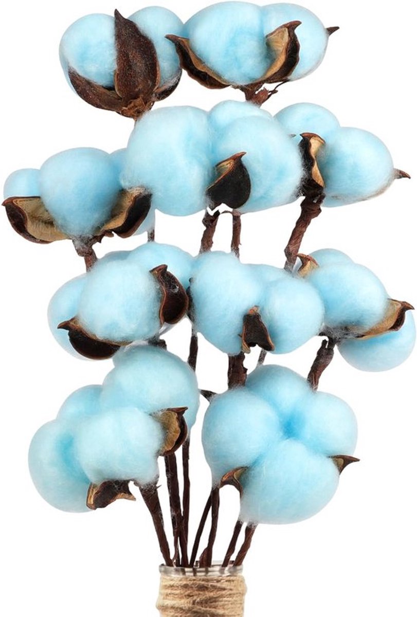 10x Gedroogde Blauwe Katoenstelen - Natuurlijke Decoratie voor Huis, Bruiloft en Tafelstukken