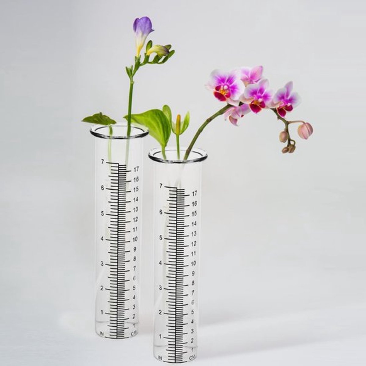 Regenmeter met grondpen - Pluviometer - Regenmeter glas - Regenmeter digitaal - Vorstbestendig - Gemakkelijk af te lezen - Neerslagmeter