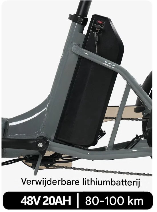 16 Inch 48V 20Ah Accu Famille elektrische longtail transportfiets - Klapfiets E-Bakfiets - Elektrische Vrachtsfiets 180kg - 100km Bereik - Elektrische Driewieler - 3-wielige cargo e-bike - 90 Nm -Voor Senioren & Dagelijks Gebruik-Grijs — afbeelding 3