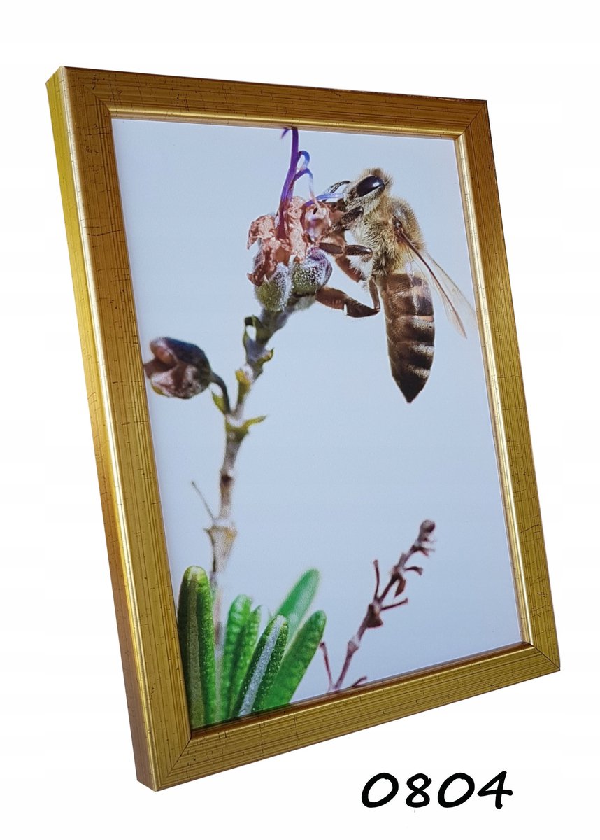 Houten Fotolijst 15x20 cm - IZA - Cadeau