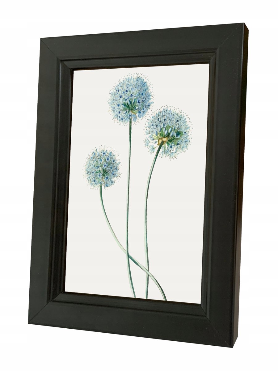 Houten fotolijst FIONA 10x15 cm - Wit of Zwart