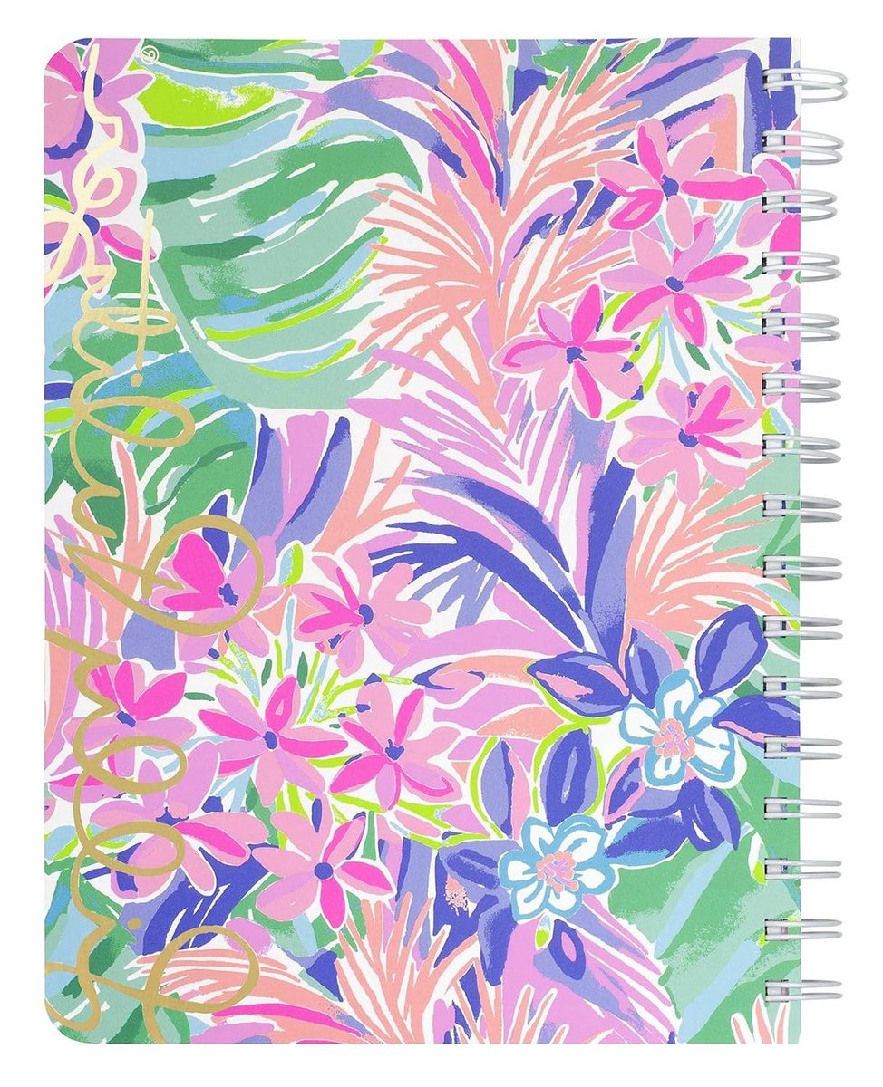 Mini Notitieboek - Klein Dagboek - Ideeën Noteren - Spiraalbinding - 21 x 16.5 cm - Gekleurd
