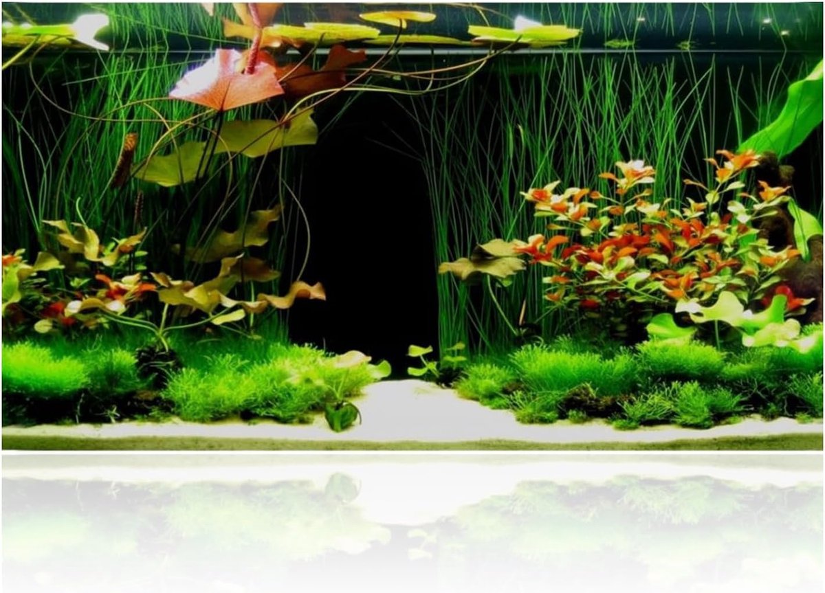 90 x 40 cm, achtergrond voor aquarium, zelfklevende onderwateraquaria, foto-achterwand, decoraties, water, gras, aquaria, achterwandfolie voor terrarium