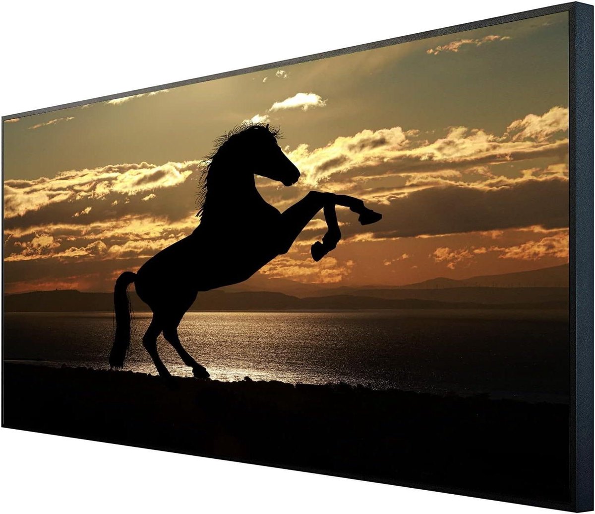 Infraroodstraler - Beeldverwarmer Paneel - Ruimte Verwarmen - Veilig & Onderhoudsvrij - 60x120cm - Wit