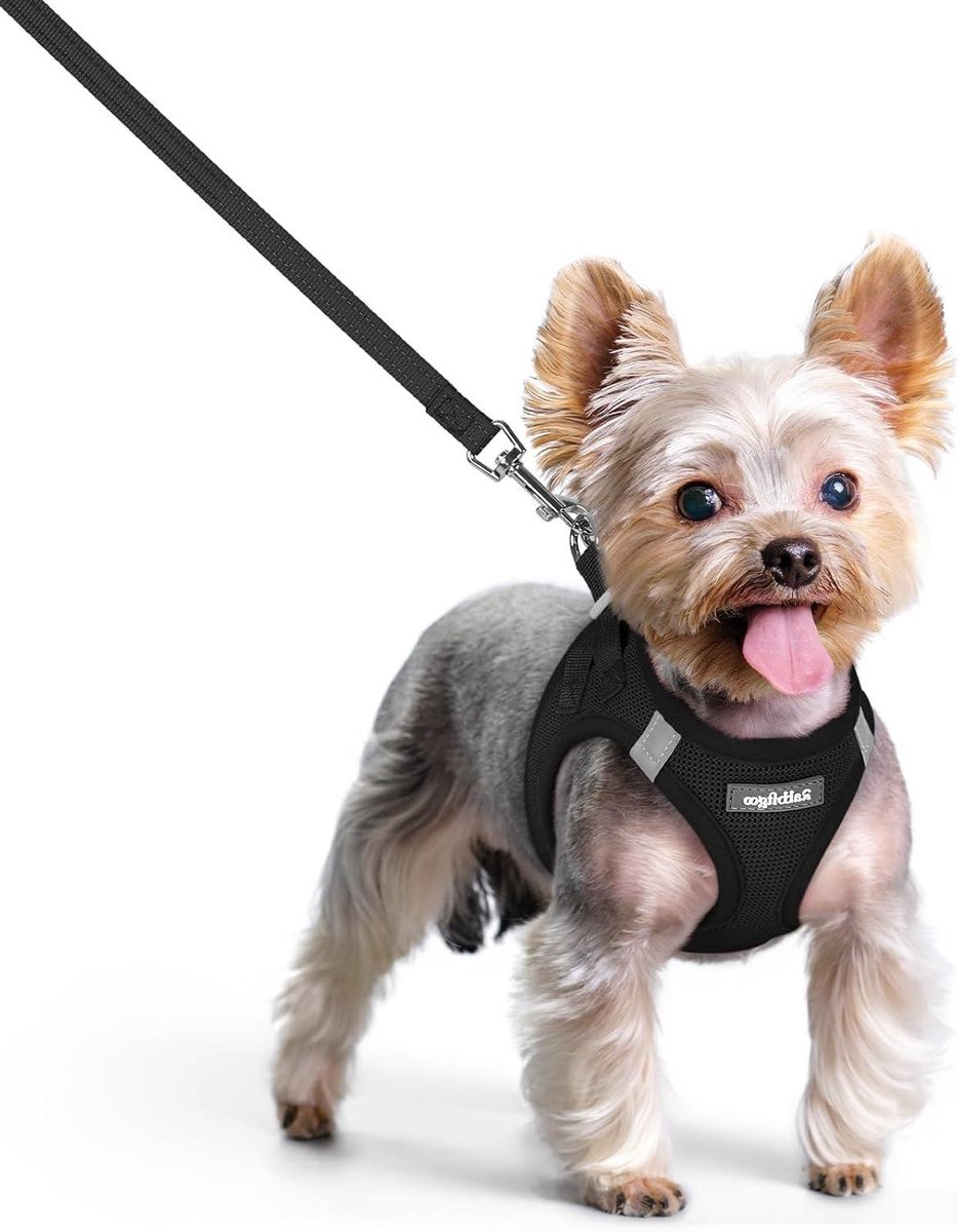 Hondentuigje met Riem - Honden Harnas - Veilige Wandelingen - Anti-trek Ontwerp - Maat XS - Zwart
