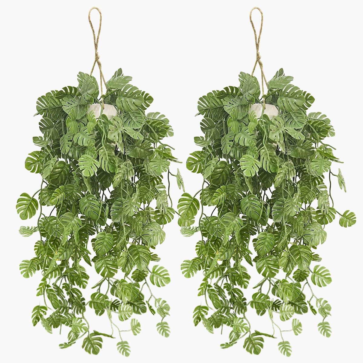Hangplanten