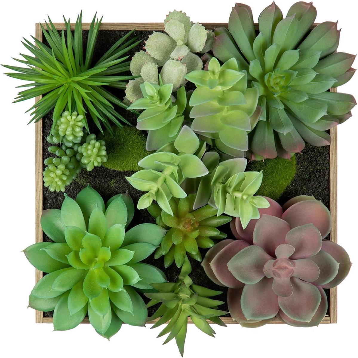 Kunstmatige Vetplanten Muurdecoratie - Nep Hangplant Faux Vetplant - Woonkamer Aankleden - Rustiek Houten Frame - 20 x 20 cm