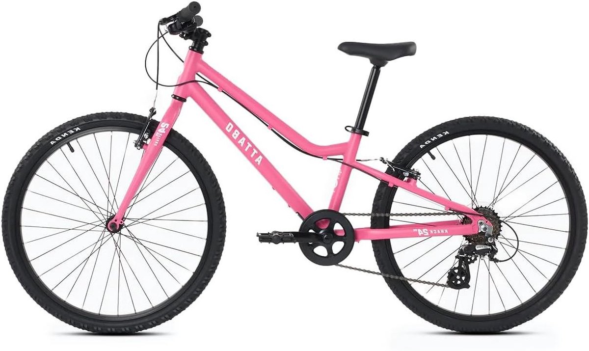 Kinderfiets - Jongensfiets Meisjesfiets - Vrije Tijd Fietsen - Licht Aluminium Frame - 24 Inch - Roze