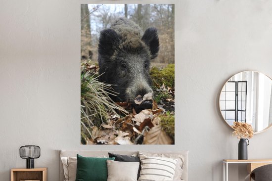 Le sanglier se trouve dans la forêt 120x180 cm XXL / Groot format!
