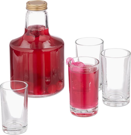 karaf met glazen - set - schenkkan van 1 l - met deksel - 4 drinkglazen van 200 ml - voor koude dranken