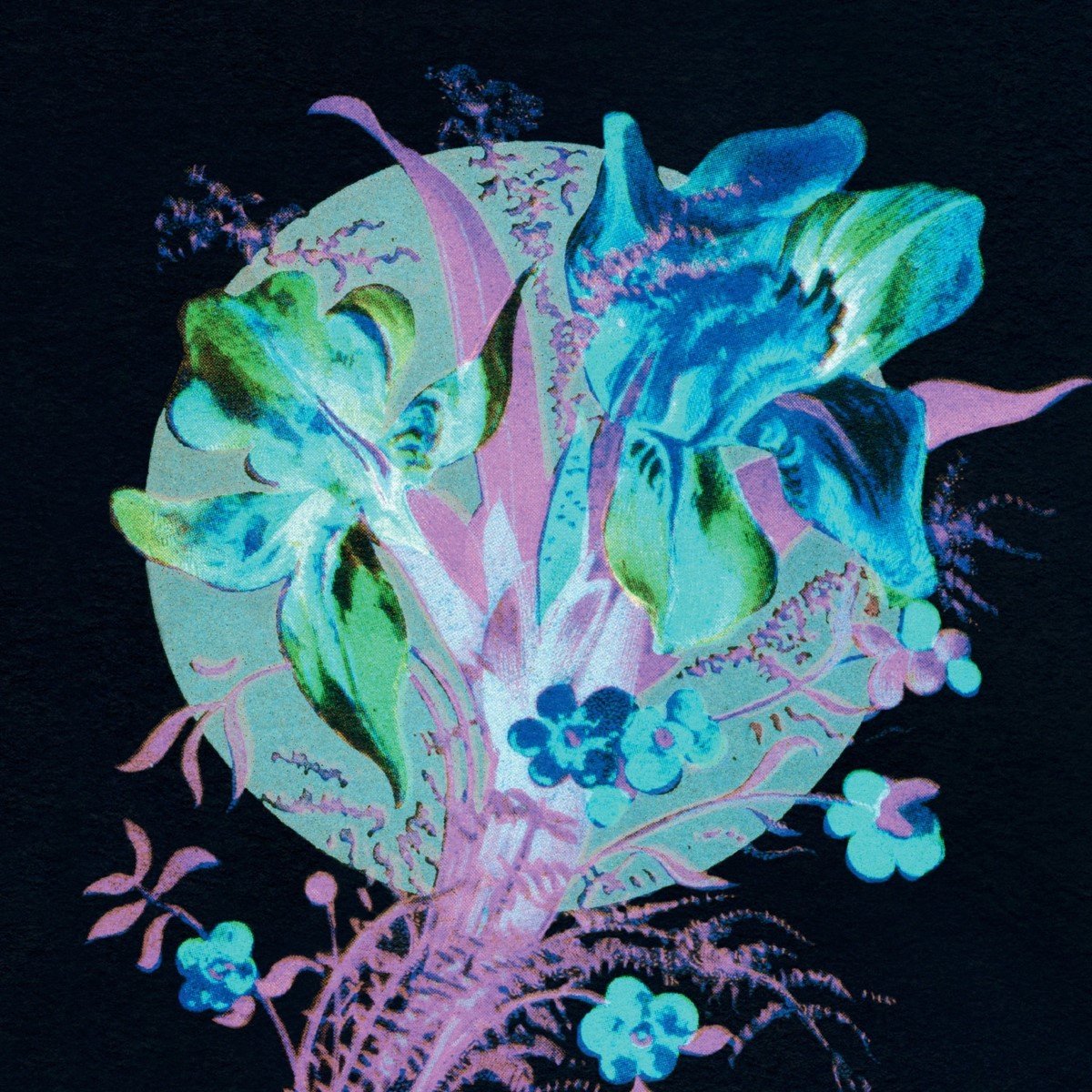 Hannu Karjalainen - A Handful Of Dust Is A Desert (CD) (Limited Edition)