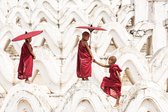 Curious monks – 135cm x 90cm - Fotokunst op PlexiglasⓇ incl. certificaat & garantie.