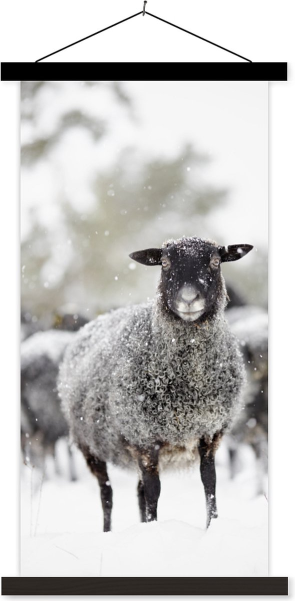 Cadre photo avec affiche - Mouton - Neige - Laine - 60x90 cm