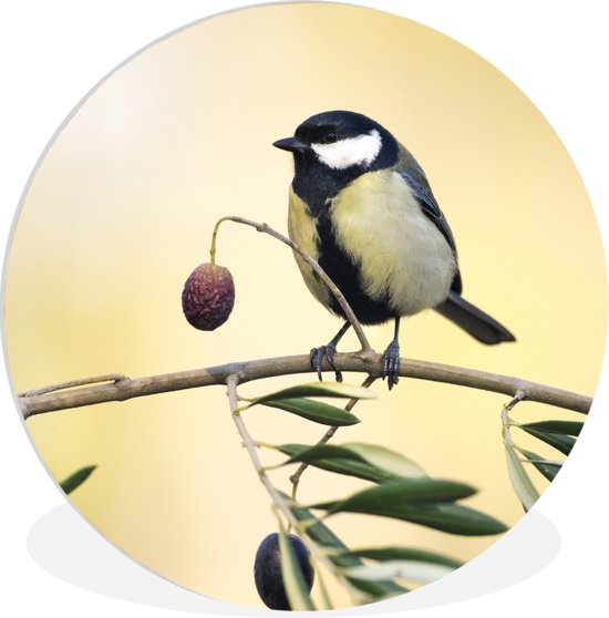 Wall Circle - Wall Circle Indoor - Vogel sur une branche avec une baie - 150x150 cm - Décoration murale - Peintures Ronds