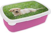 Broodtrommel Roze - Lunchbox Labrador Puppy in gras - Brooddoos 18x12x6 cm - Brood lunch box - Broodtrommels voor kinderen en volwassenen