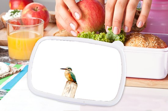 Lunch box Wit - Lunch box - Boîte à pain - Martin-pêcheur - Ressorts - Perche - 18x12x6 cm - Adultes