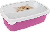 Broodtrommel Roze - Lunchbox Kat - Rood - Wit - Meisjes - Kinderen - Jongens - Kind - Brooddoos 18x12x6 cm - Brood lunch box - Broodtrommels voor kinderen en volwassenen