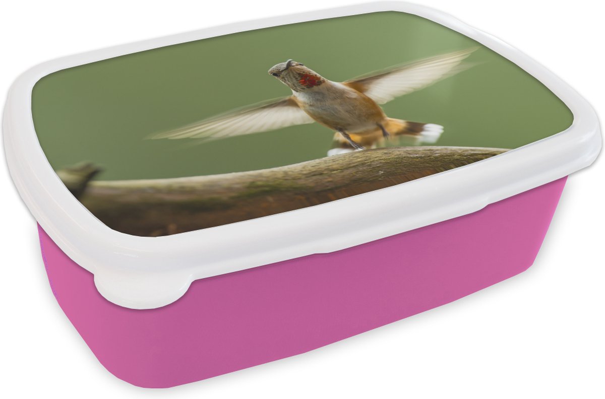 Broodtrommel Roze - Lunchbox - Brooddoos - Kolibrie - Vogel - Boom - 18x12x6 cm - Kinderen - Meisje