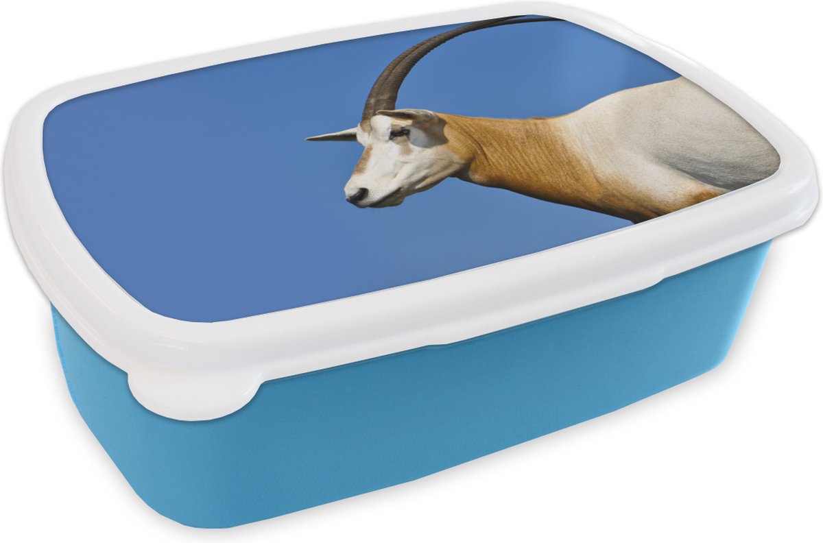 Broodtrommel Blauw - Lunchbox - Brooddoos - Dier - Hoorn - Geit - 18x12x6 cm - Kinderen - Jongen