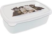 Broodtrommel Wit - Lunchbox Kat - Huisdieren - Vacht - Portret - Brooddoos 18x12x6 cm - Brood lunch box - Broodtrommels voor kinderen en volwassenen