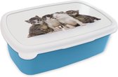 Broodtrommel Blauw - Lunchbox - Brooddoos - Kat - Huisdieren - Vacht - Portret - 18x12x6 cm - Kinderen - Jongen