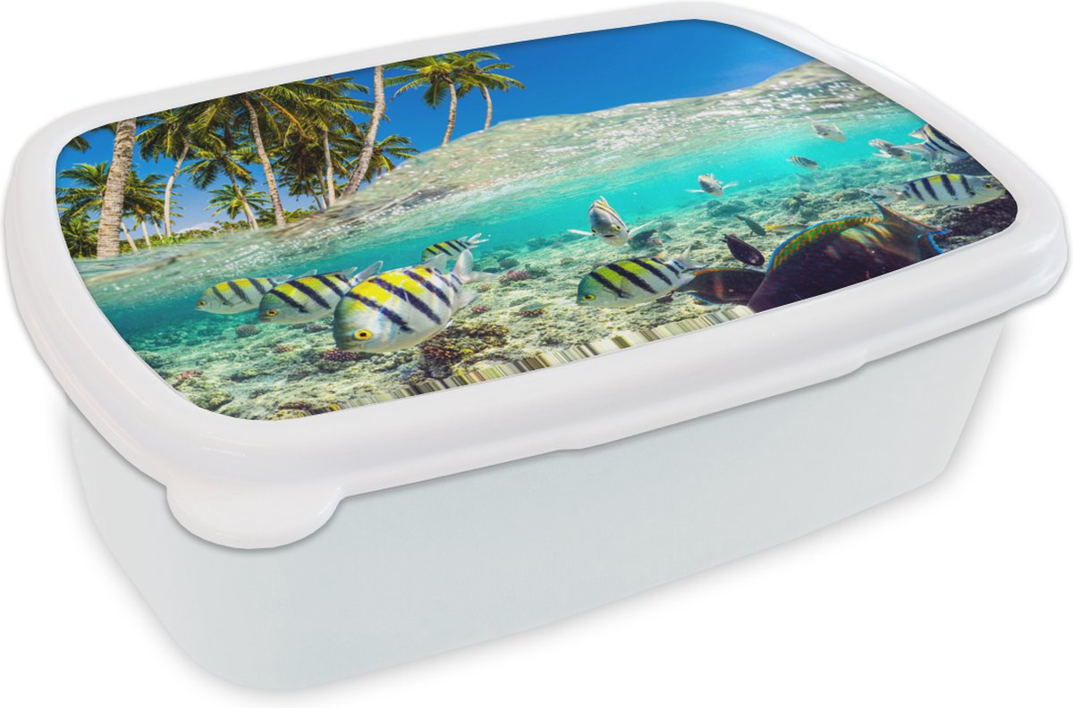 Broodtrommel Wit - Lunchbox - Brooddoos - Strand - Vissen - Kleuren - 18x12x6 cm - Volwassenen