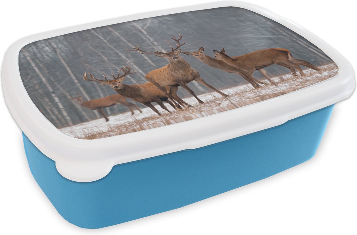Broodtrommel Blauw - Lunchbox - Brooddoos - Hert - Bos - Winter - 18x12x6 cm - Kinderen - Jongen