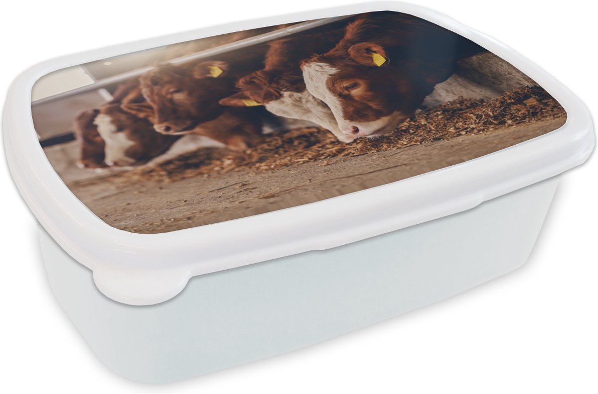 Broodtrommel Wit - Lunchbox - Brooddoos - Koe - Eten - Hooi - 18x12x6 cm - Volwassenen
