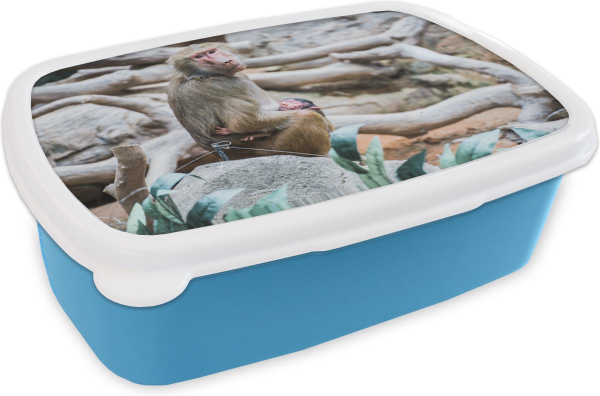 Broodtrommel Blauw - Lunchbox - Brooddoos - Aap - Jong - Tak - 18x12x6 cm - Kinderen - Jongen